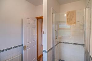 a bathroom with a walk in shower and a shower backdoor at Ballindrum Farm B&B in Athy
