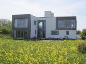 a white house with a field of yellow flowers at HH Accommodation in Millom