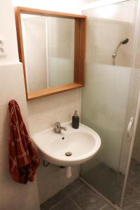 a bathroom with a sink and a mirror and a shower at Apartmán Fydorka in Jeseník