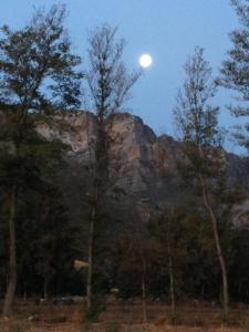 a full moon rising over a mountain with trees at White Bridge Farm Accommodation in Wolseley