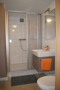 ein Bad mit einer Dusche, einem Waschbecken und einem WC in der Unterkunft Haus Rainer in Innsbruck