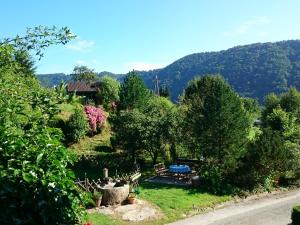 Haus Donaublick في إنغليهارتزيل: حديقة فيها طاولة نزهة واشجار وجبل