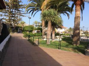 Zahrada ubytování Santa Clara Bungalows