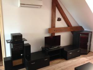 Televízia a/alebo spoločenská miestnosť v ubytovaní King Apartman