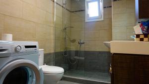 アギオス・ゲオルギオス・パゴンにあるApartments Sissyのバスルーム(シャワー、トイレ、洗面台付)