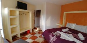 a bedroom with a bed and a tv on a wall at Hotel Roseville in Chignahuapan