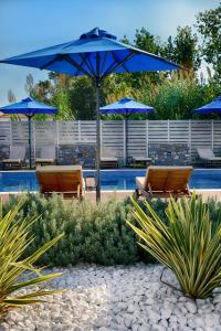 a patio with chairs and blue umbrellas next to a pool at Hotel Korali in Troulos