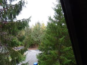 a view of a forest of trees from a window at Ferienhaus Eugenie in Sulzfeld (im Grabfeld)