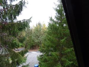 una ventana con vistas a un bosque de árboles en Ferienhaus Eugenie, en Sulzfeld