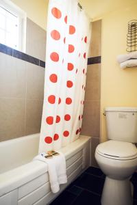 a bathroom with a toilet and a shower curtain at Stardust Motel in Redding