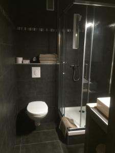 ein Badezimmer mit Toilette und Glasdusche in der Unterkunft Appartement Saint Jean in Metz