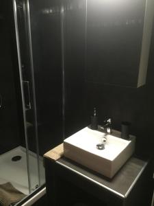 ein Badezimmer mit einem weißen Waschbecken und einer Dusche in der Unterkunft Appartement Saint Jean in Metz + 3 Fotos