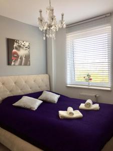 キェルツェにあるDeLuxのベッドルーム1室(紫色のベッド1台、タオル付)