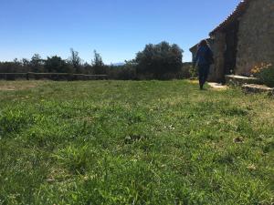 una persona caminando en un campo de hierba en Masia La Casablanca, en La Puebla de Valverde