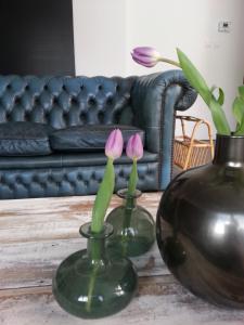 Gallery image of Entre Deux Pays Apartments in Spa +43 photos