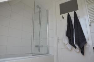 een douche in een badkamer met een glazen deur bij B&B Nieuwe Brug in Vijfhuizen