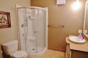 a bathroom with a shower and a toilet and a sink at Chalets Alpins- 39 Chemin des Skieurs in Stoneham +31 photos