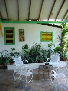 A garden outside Ecotopía Park