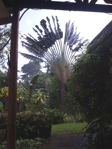 A garden outside Ecotopía Park