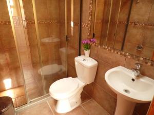 ein Bad mit einem WC, einer Dusche und einem Waschbecken in der Unterkunft Cabañas Urmeneta Sur in Tongoy