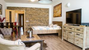 TV a/nebo společenská místnost v ubytování Apartment Říčky V Orlických Horách