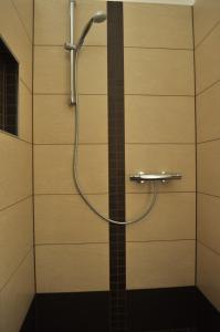 a shower with a shower head in a bathroom at Ferienwohnungen Gehlberg in Gehlberg