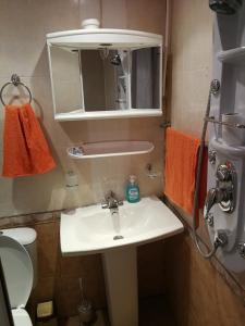 uma casa de banho com um lavatório, um espelho e um WC. em Two Bedroom Townhouse Mika em Ruse