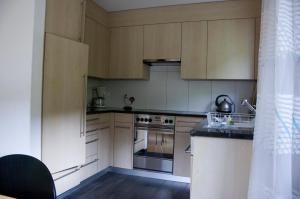 Kuchyň nebo kuchyňský kout v ubytování Ferienwohnung Mura