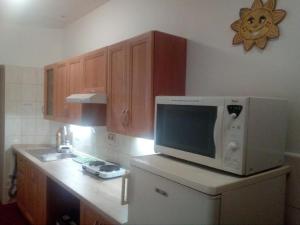 a kitchen with a microwave on top of a refrigerator at Penzion Rajf in Krnov +14 photos