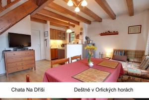 Gallery image of Chata Na Dříši in Deštné v Orlických horách