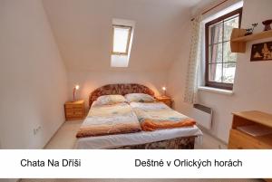 Postel nebo postele na pokoji v ubytování Chata Na Dříši