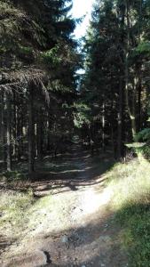 Fotografia z galérie ubytovania Penzion Liberta v destinácii Horní Maršov