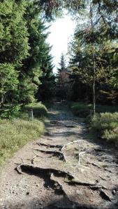 Fotografia z galérie ubytovania Penzion Liberta v destinácii Horní Maršov
