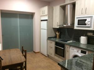 Kuchyň nebo kuchyňský kout v ubytování Apartamentos Alameda