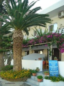 una palmera frente a un edificio con un cartel en Skinos Apartments, en Plakias