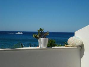 a vase and a plant on a ledge with the ocean at Skinos Apartments in Plakias