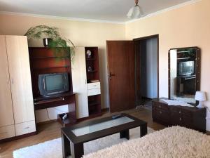 a living room with a tv and a mirror at Guest Rooms Profirov in Zlatograd