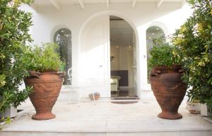 オルビアにあるWhite House Luxury Hospitalityの廊下に植物を詰めた大鉢2つ