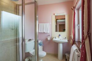 a bathroom with a toilet and a sink and a shower at Ballindrum Farm B&B in Athy