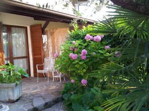 a garden with pink flowers on a patio at Debora Maison B&B in Sirmione