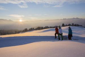Gasthof Waldesruh tokom zime