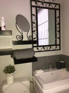 a bathroom with a toilet and a mirror and a sink at Petit Appartement Jourdan EU in Brussels