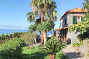 a house with palm trees in front of the ocean at OurMadeira - Stonecliff Cottage, countryside retreat in Calheta