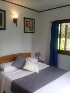 a bedroom with two beds and a window at Agnes Cottage - Emerald in La Digue