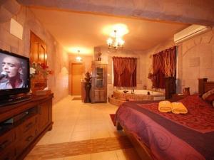 - une chambre avec un lit, une télévision et une baignoire dans l'établissement Michal's Suites, à Sha'al