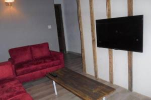 TV a/nebo společenská místnost v ubytování Le Leon d'or