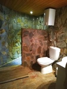 a bathroom with a toilet and a stone wall at Casa rural el Carmen de la Sierra in Yecla