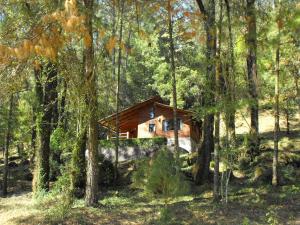 uma cabana de madeira no meio de uma floresta em Cabañas Alpinas López Fontes em Valle de Bravo