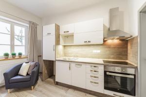 Kuchyň nebo kuchyňský kout v ubytování Downtown Royal Apartments