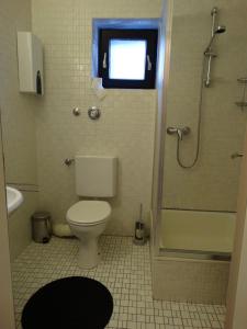 a bathroom with a toilet and a shower with a window at Ferienwohnung "Am Rothaarsteig" in Winterberg +12 photos
